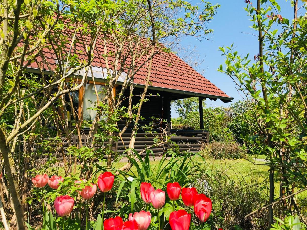 Eifel-Lounge Blockhaus Mit Kamin Garten Balkon Nahe Koeln Therme Bruehl Phantasialand Weilerswist Exterior foto